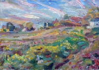 Feld bei Flensburg, 2018