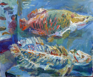 Fische im zoologischen Museum, 2020