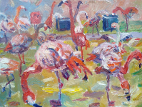 Flamingos im Winterquartier, 2022