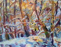 Wald, Schnee, Abendsonne, 2023