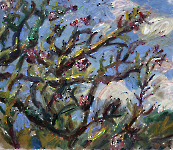Frühblühender Baum, 2025