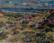 Dünen und Wattenmeer, 2026